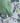 #color_green