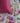 #color_multi-color