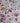 #color_multi-color